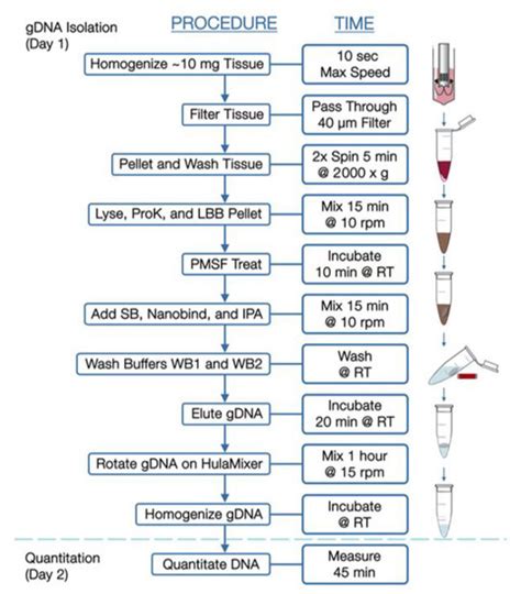 Jpm Special Issue Recent Developments In Cancer Systems Biology