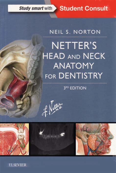 シエン社 Netters Head And Neck Anatomy For Dentistry