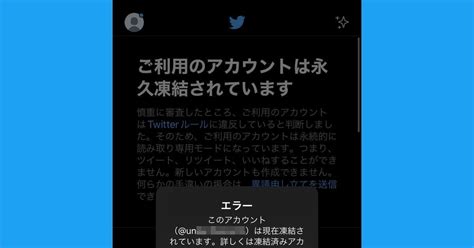 X Twitterアカウントの凍結を解除する方法 異議申し立ての例文付き マイナビニュース