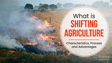 What Is Shifting Cultivation Process Types Advantages