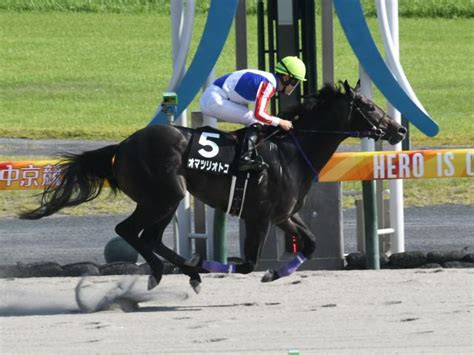 【ヤマボウシ賞レース後コメント】オマツリオトコ伊藤圭三調教師ら 競馬ニュース