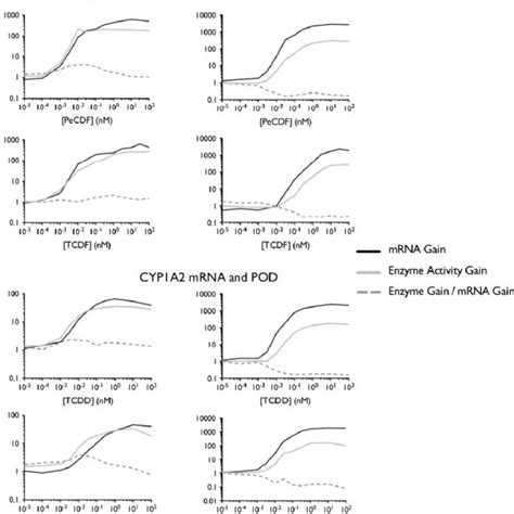 Pathway Gain Values For Rat And Human Responses To The Three Congeners