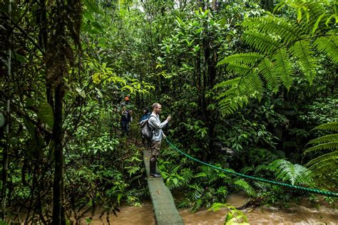 How Safe Is The Travel Through The Amazon Rainforest