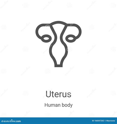 Uterus Icon In Cartoon Style Isolated On White Background Organs