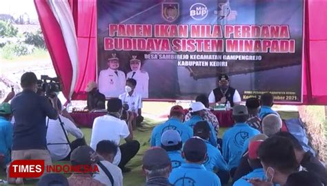 Bupati Kediri Berharap Setiap Kecamatan Memiliki Budidaya Mina Padi