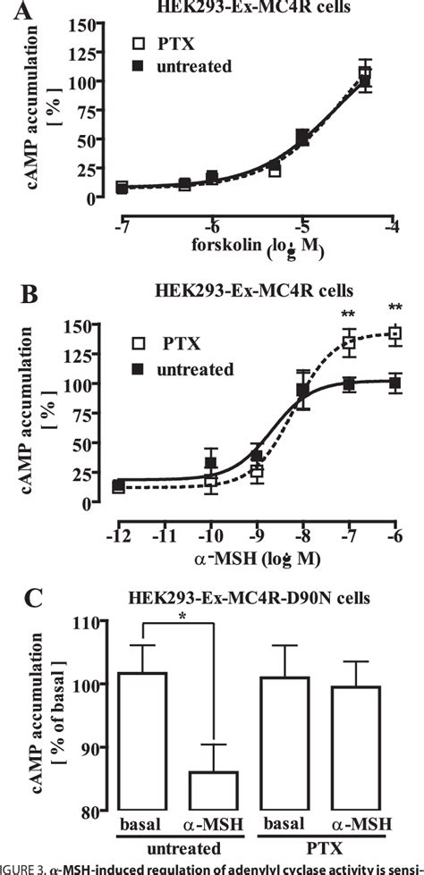 Figure 3 From Pertussis Toxin Sensitive Signaling Of Melanocortin 4