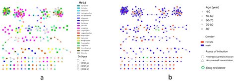 Molecular Transmission Network Of Newly Reported Hiv Infections In