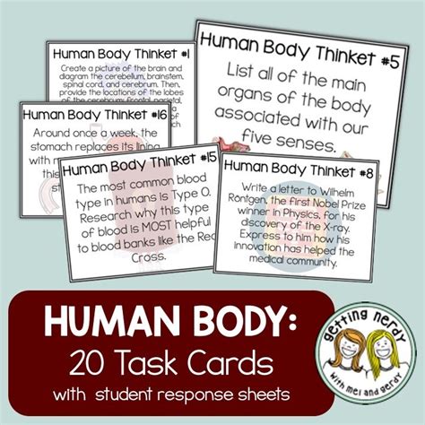 Human Body Systems Task Cards