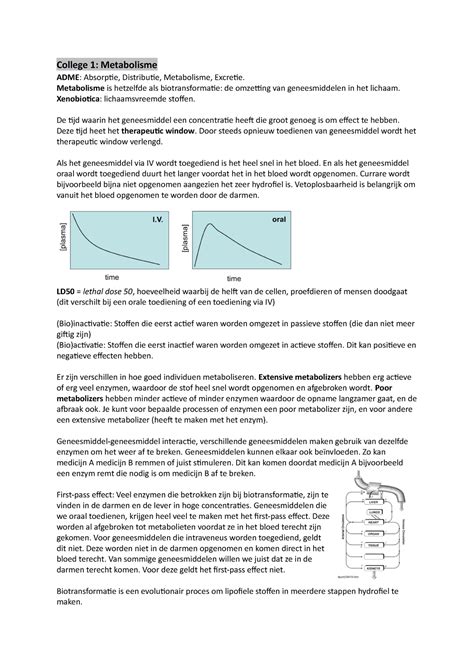 Fysiologie Van Adme Aantekeningen Fadme College Metabolisme Adme