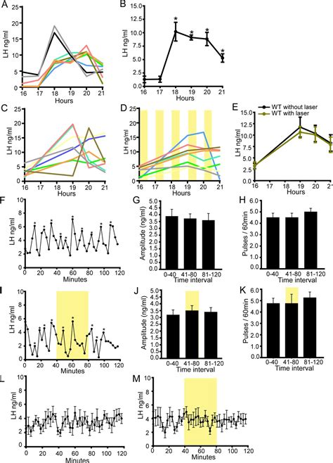 Figures And Data In Different Dendritic Domains Of The Gnrh Neuron