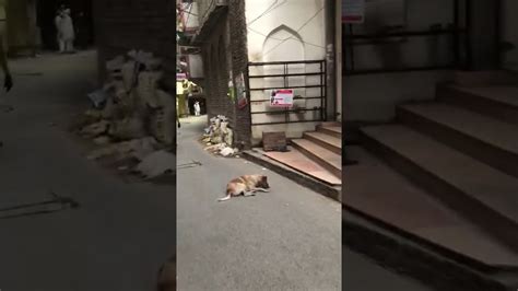 AAJ SHAHEEN BAGH FIRDOUS MASJID KE AREA SEAL KAR DIYA GAYA HAI YouTube