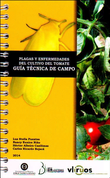 Plagas Y Enfermedades Del Cultivo Del Tomate Gu A T Cnica De Campo