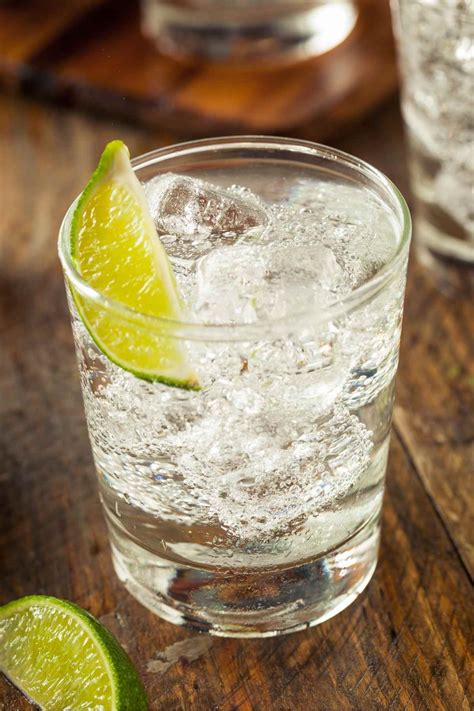 15 Best Gin Cocktails Easy Gin Drinks Recipes Izzycooking