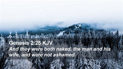 Genesis 2 25 KJV Desktop Wallpaper And They Were Both Naked The Man