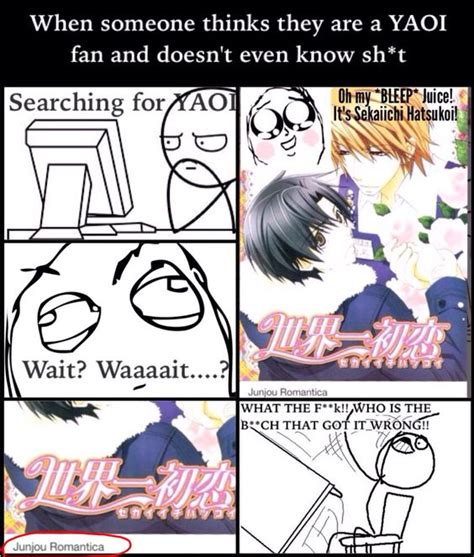 Yaoi Memes Sekaiichi Hatsukoi Funny Memes Pinterest