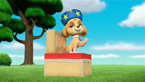 Mission Paw Quest For The Crown Images Paw Patrol Cast Wiki Fandom