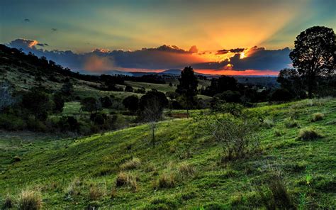 Online Crop Green Grass Field Painting Landscape Sunset Clouds