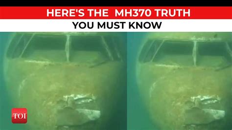 Malaysia Airlines Flight 370 Found After 9 Years Photo Goes Viral On