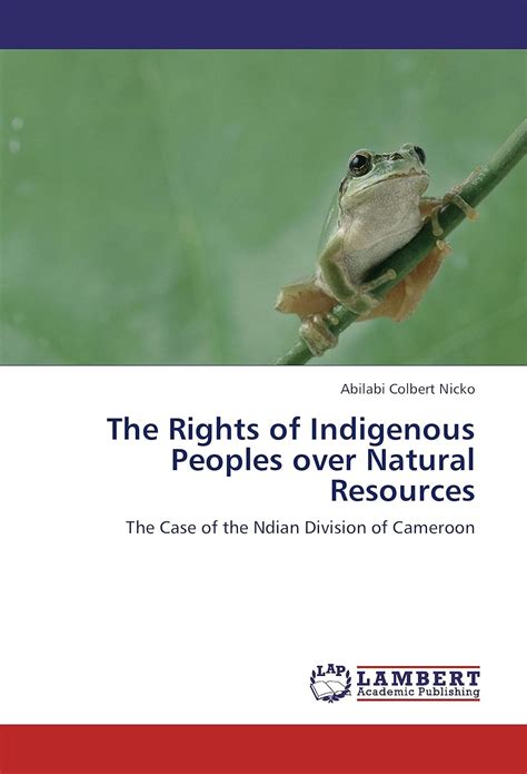 Amazon The Rights Of Indigenous Peoples Over Natural Resources The