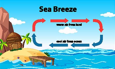 Science Poster Design For Sea Breeze Water Artistic Science Vector