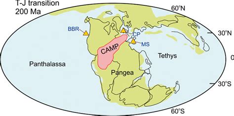 Study Of Ancient Rocks Suggests Oxygen Depletion In Oceans Led To End