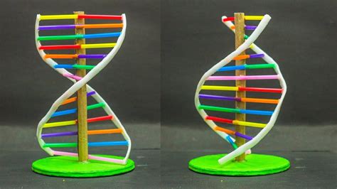 School Science Projects Dna Model Dna Model Project Dna Model Dna Project