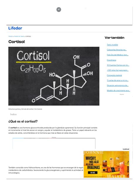 Cortisol Qué Es Funciones Síntesis Mecanismo De Acción Pdf