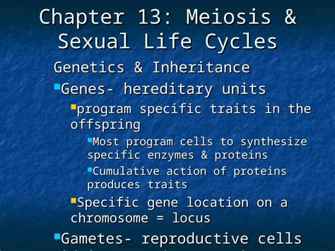 Ppt Chapter 13 Meiosis And Sexual Life Cycles Genetics And Inheritance Genes Hereditary Units