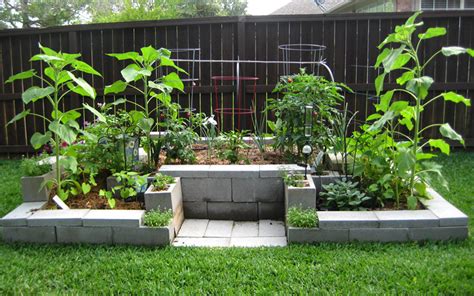 15 Creative Cinder Block Raised Garden Beds Garden Lovers Club