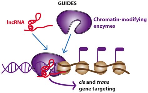 Ijms Free Full Text Bioinformatics Tools And Novel Challenges In