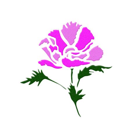 Pink Carnation Drawing | Free download on ClipArtMag