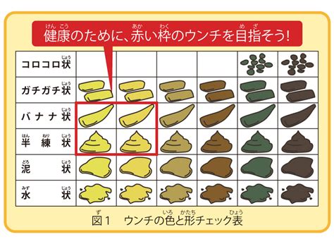 【実は大切なウンチの話】毎日出てるかな？チェックしてみよう イチジク製薬株式会社