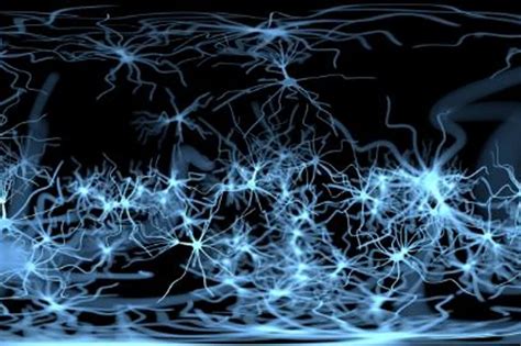 Peripheral Neuropathy Diagnosis: Comprehensive Guide – DiseaseFix