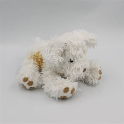 Doudou Chien Blanc Marron Beige HISTOIRE D OURS