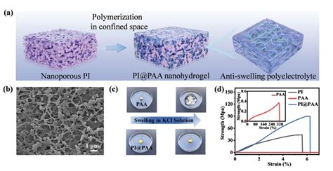 我校隋坤艳教授团队在advanced Functional Materials发表高水平学术成果 青岛大学 Qingdao University