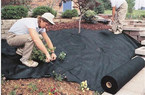 Weed Control Fabric Learn How To Choose The Best Weed Barrier