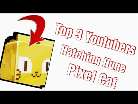 Top Youtubers Hatching Huge Pixel Cat On Camera Pet Simulator X