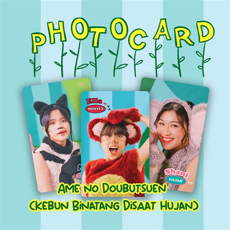 Jual Photocard Kebun Binatang Disaat Hujan Jkt Shopee Indonesia