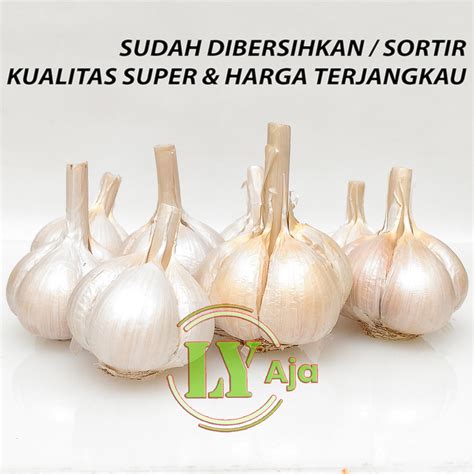 Jual Bawang Putih Kating BERSIH Bonggol 500 Gram Kualitas Super LY Aja