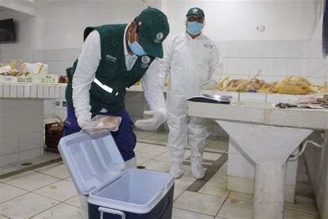 Minagri Supervisan Condiciones Sanitarias De Carnes Destinadas Al