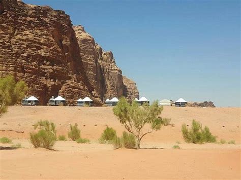 Wadi Rum Camp Hotel Jordanie Tarifs 2025 Et 24 Avis