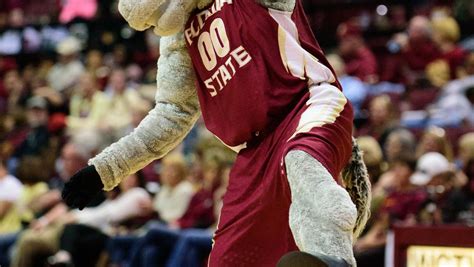 A look at FSU basketball mascot Cimarron