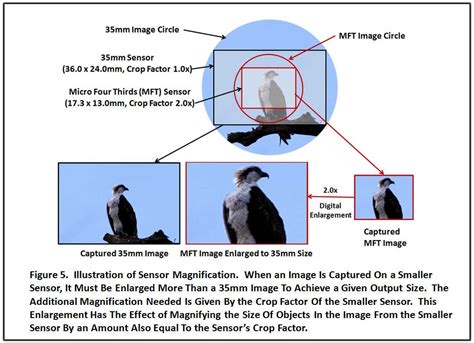 Understanding the Camera Crop Factor and How To Apply It - Cerebral Advantage