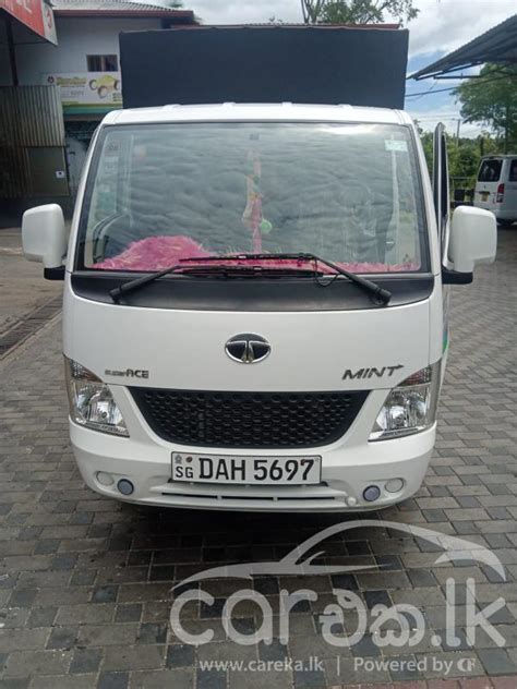 TATA SUPER ACE 2019 Careka Lk