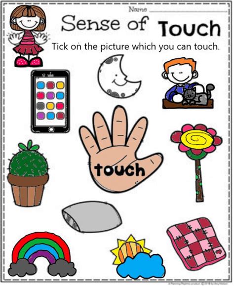 Sense of touch online worksheet | Sense of touch, Kindergarten ...