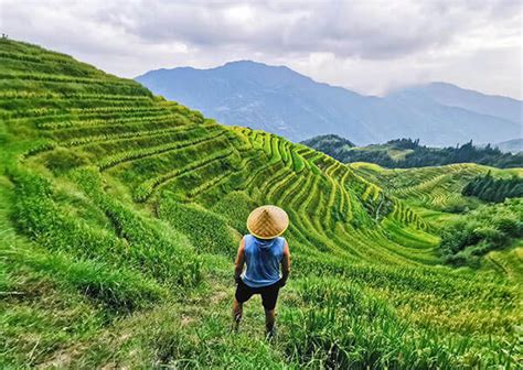 Terrace Cropping