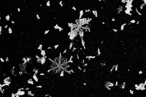 Premium Photo Close Up Of Snowflakes On Snow