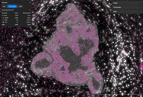 Human Breast Dataset Explorer 10x Genomics