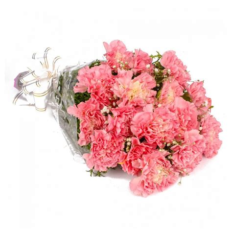 24 Pcs Of Pink Carnation Bunch Flowers For Mom