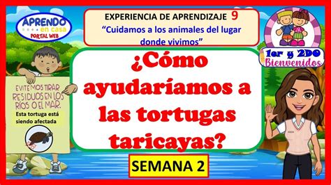 CÓMO AYUDARIAMOS A LA TORTUGA TARICAYA 1ER Y 2DO PERSONAL SOCIAL